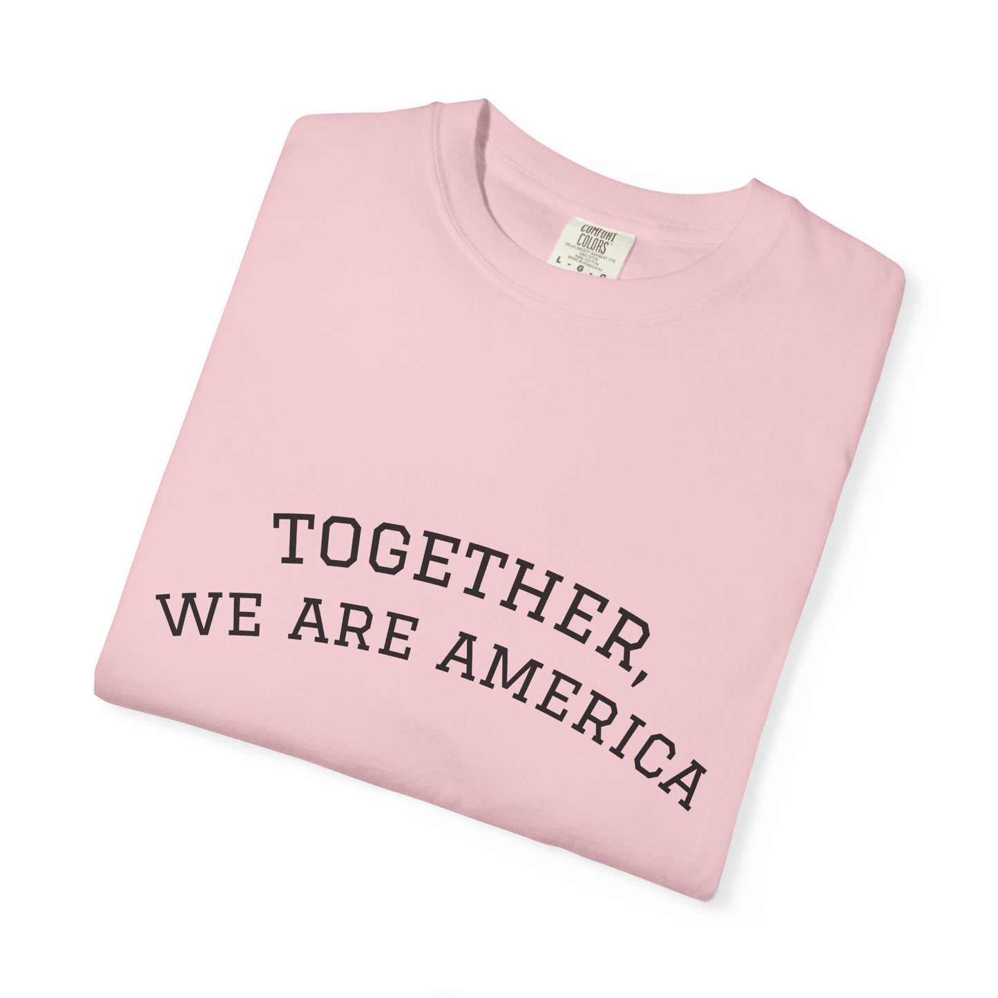 Together We Are America Shirt | Unity T-Shirt | Patriotic Quote Tee | Immigration Support Shirt | American Pride Graphic Tee | Unisex USA Statement Shirt