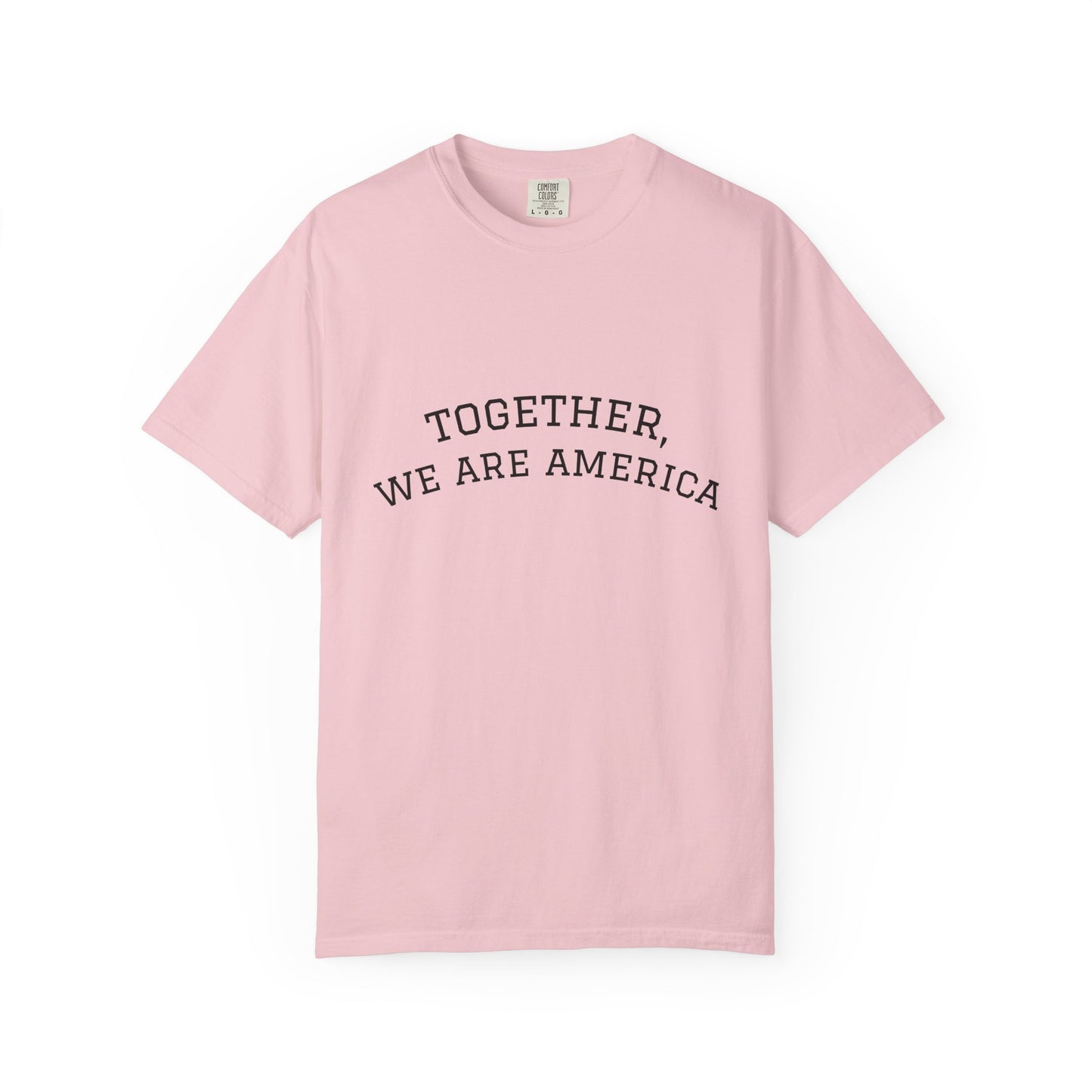 Together We Are America Shirt | Unity T-Shirt | Patriotic Quote Tee | Immigration Support Shirt | American Pride Graphic Tee | Unisex USA Statement Shirt